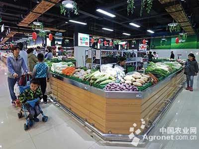 红叶椿芽 特色蔬菜的种植热潮与全国市场行情解析