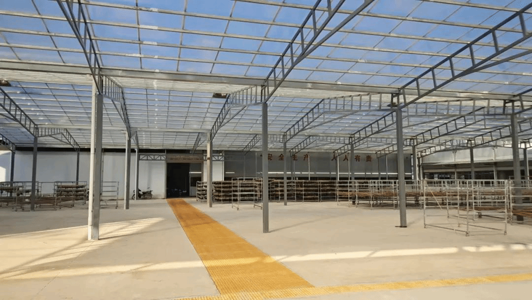 沪滇携手书锦绣 山海相约谱新篇——东西部协作下的蔬菜种植新图景